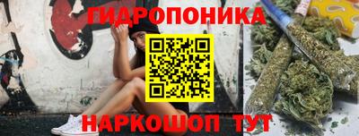 крисы Можайск