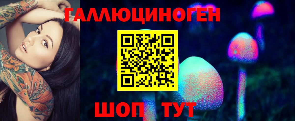Сланцы  Галлюциногенные грибы Cubensis  Вход с VPN 